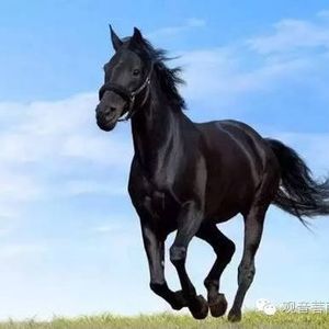 Meet your Posher, Louise